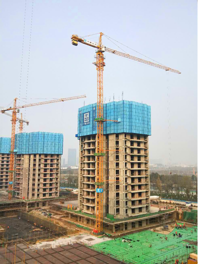 1521788779226662.png 丛树.png