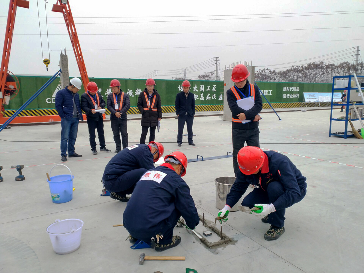 1548662131970928.jpg 9.jpg