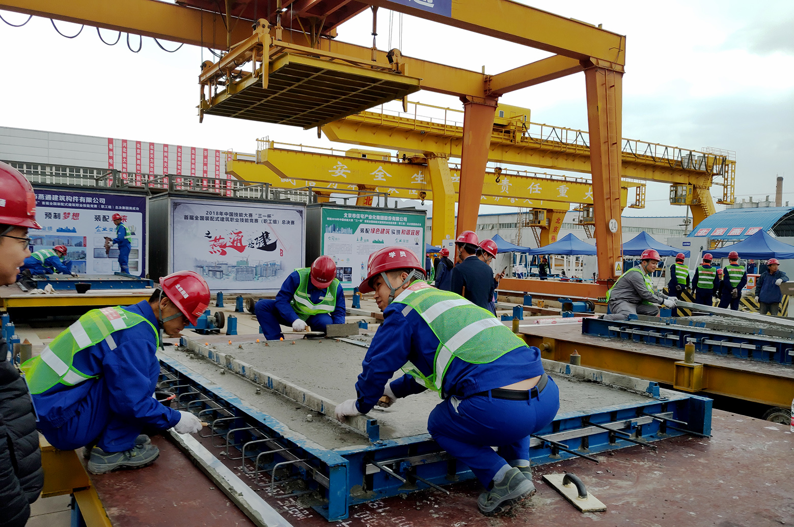 1553504333389041.jpg 1.jpg