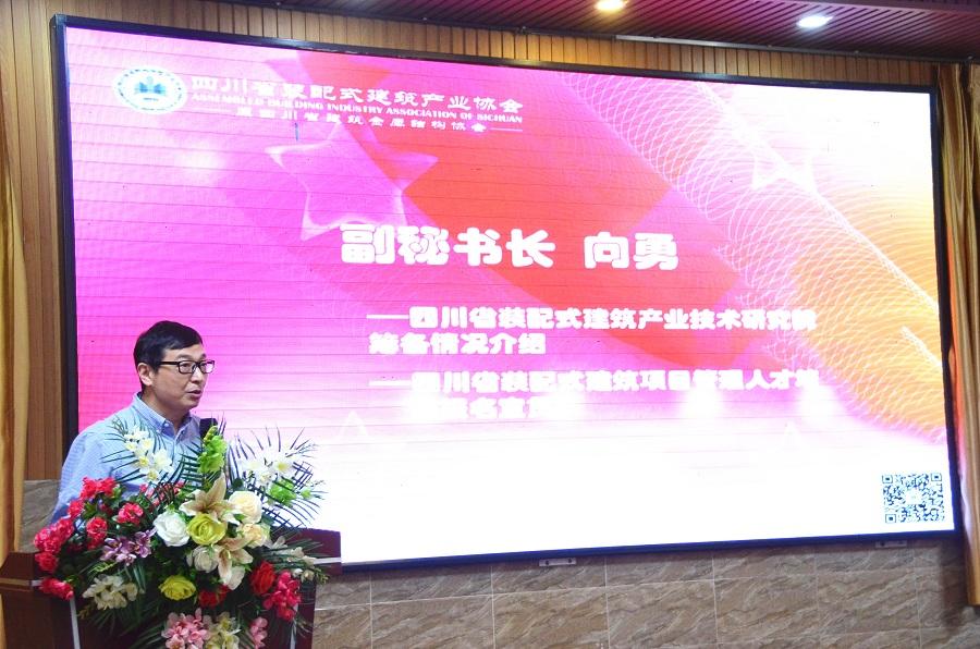 1559611054863517.jpg 向秘_副本(修图).jpg