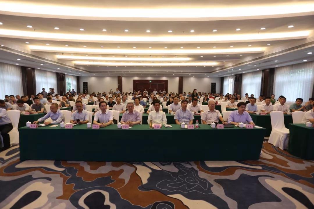 1561366252223395.jpg 1.jpg