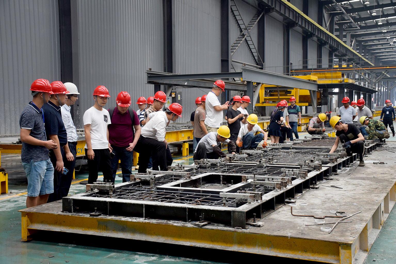 1561708156434491.jpg 10.jpg