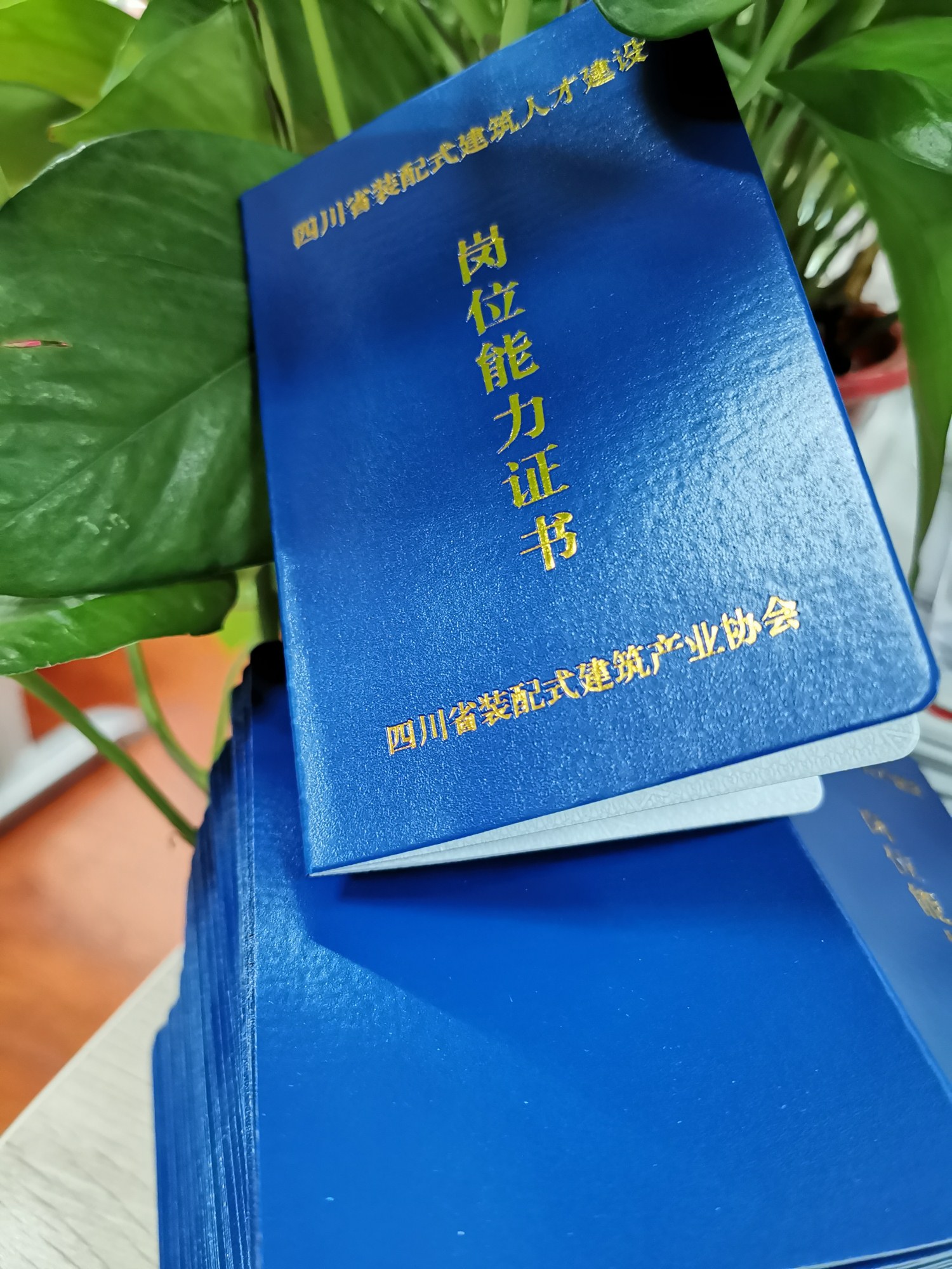 1563348481218105.jpg 微信图片_20190717152520_副本.jpg