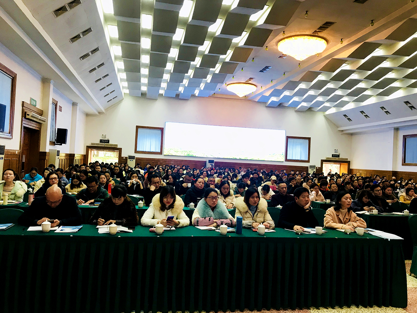 1575249411584996.jpg 2.jpg