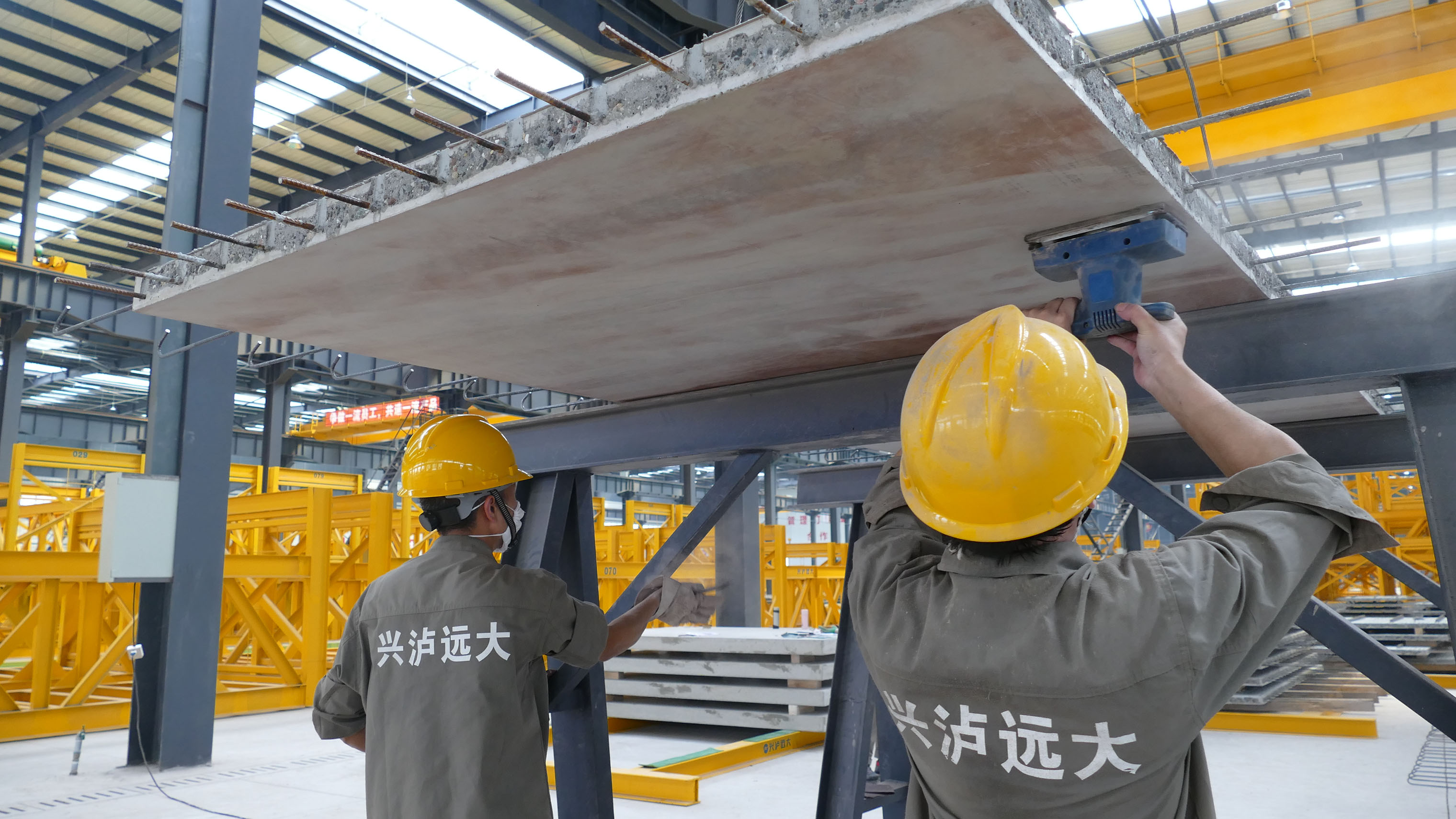 1585558780728074.jpg L1040200.jpg