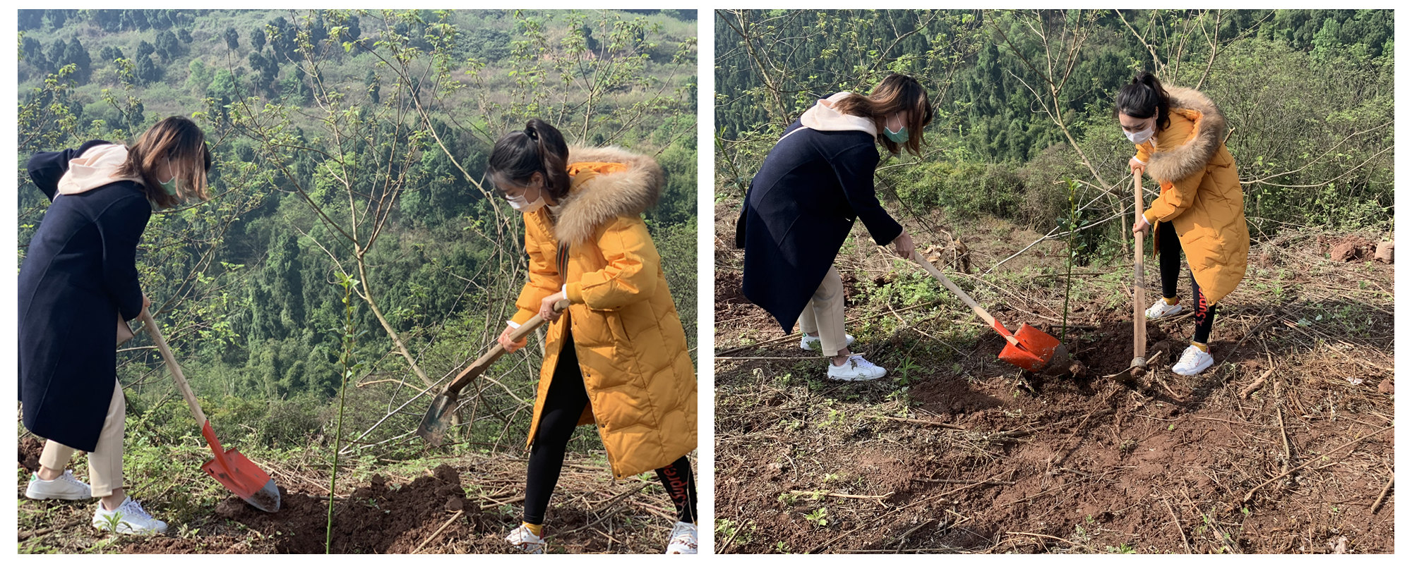 1585705812113425.jpg 微信图片_202003311357122_副本.jpg