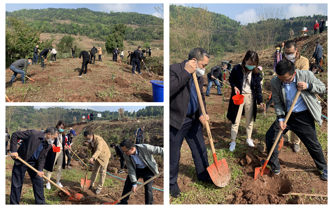 1585705880904504.jpg 微信图片_2020033113571211_副本.jpg