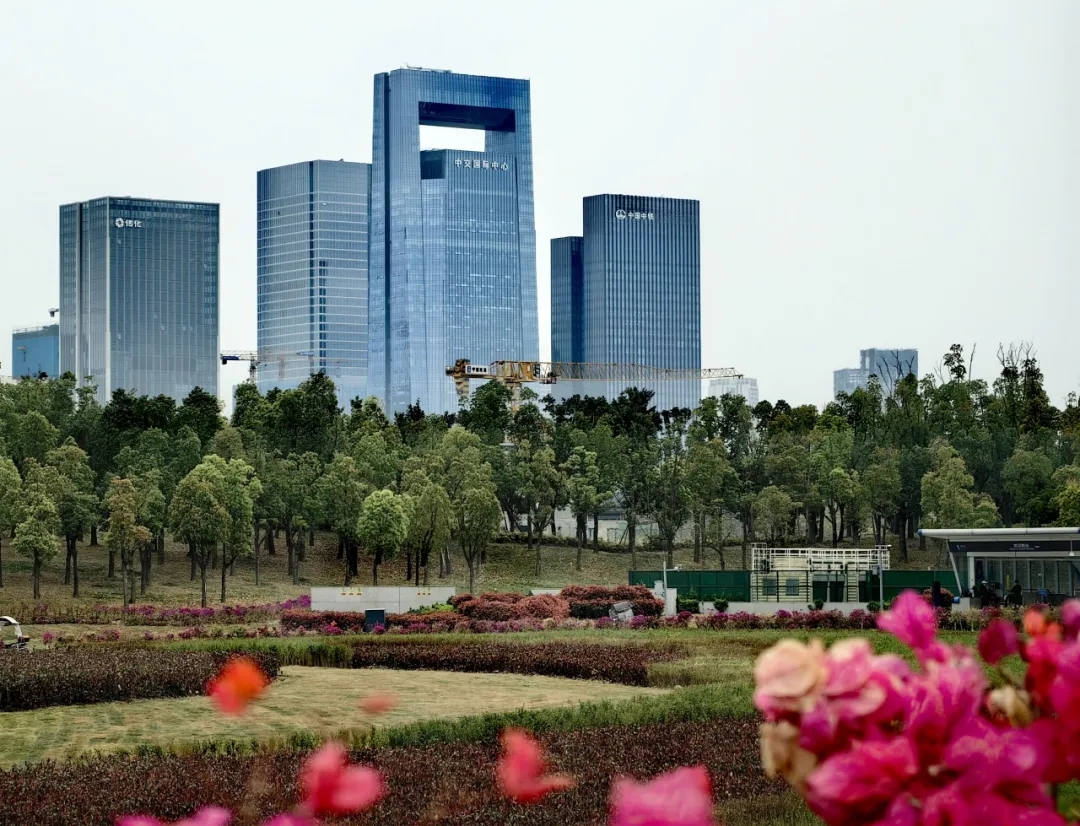 1722305575262391.png b451677d74184c78b8a2322b59d3c94f.png