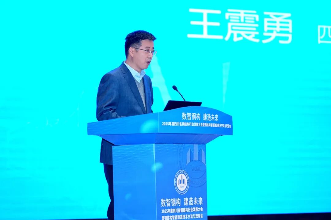 1762417546492559.jpeg 10003.jpeg